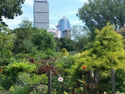 The Fenway Victory Gardens near Backstage at the Verb