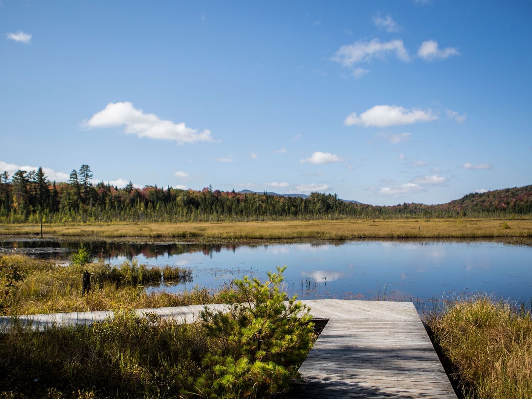 Wooden boardwalk overlooks a tranquil marshy lake with autumn trees and mountains near High Peaks Resort