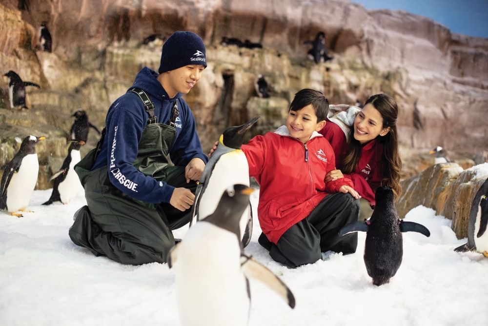 A man, woman, and boy in winter attire kneel in a snowbank surrounded by penguins. 