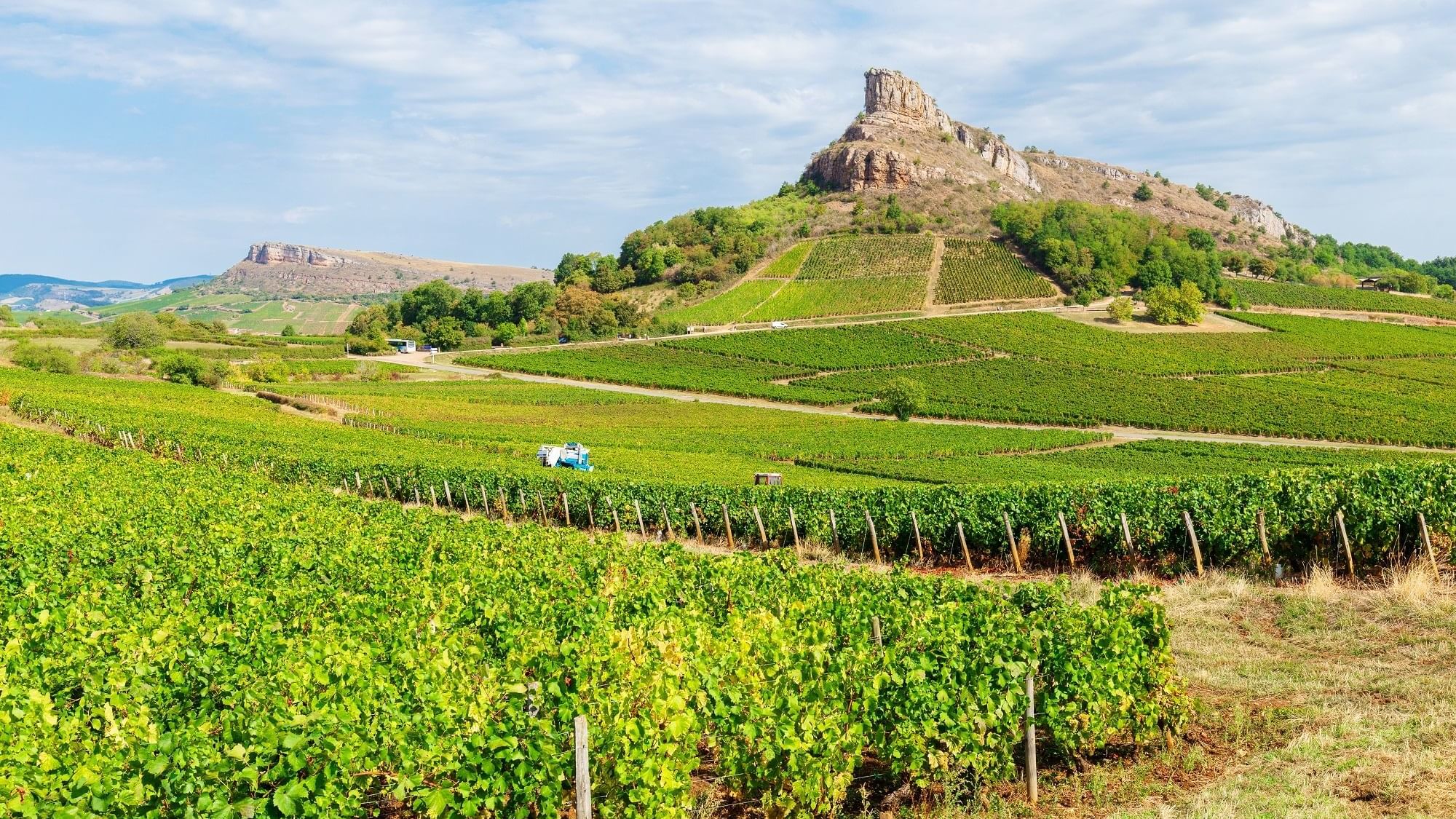 View of Rock of Solutré from a vineyard near Originals Hotels