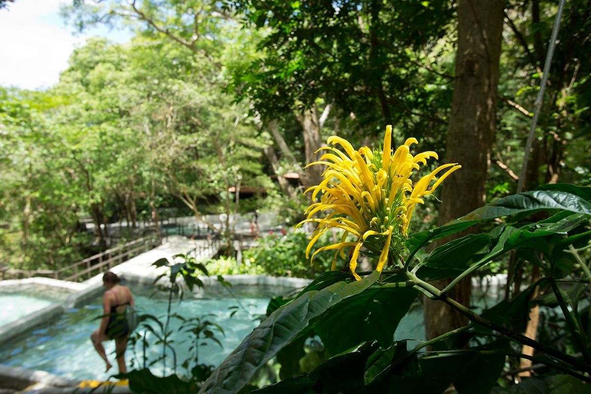 Guanacaste Costa Rica Hot Springs and Mud Baths Buena Vista Del
