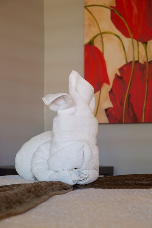 towel bunny