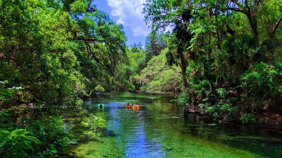 Blue Springs State Park near Legacy Vacation Resorts