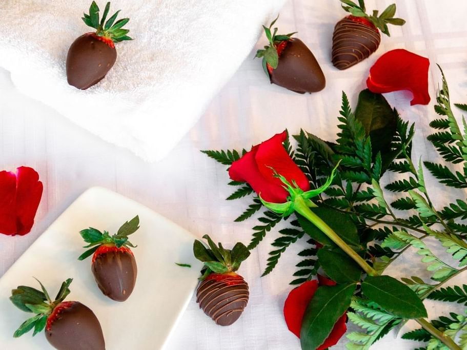 Strawberries dipped in chocolate by red roses on a bed with white sheets at Retro Suites Hotel