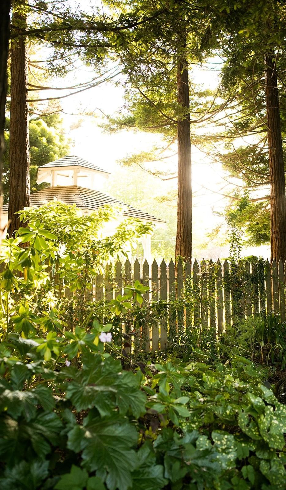A wooden fence surrounded by greenery with a gazebo in the background, sunlight filtering through trees.