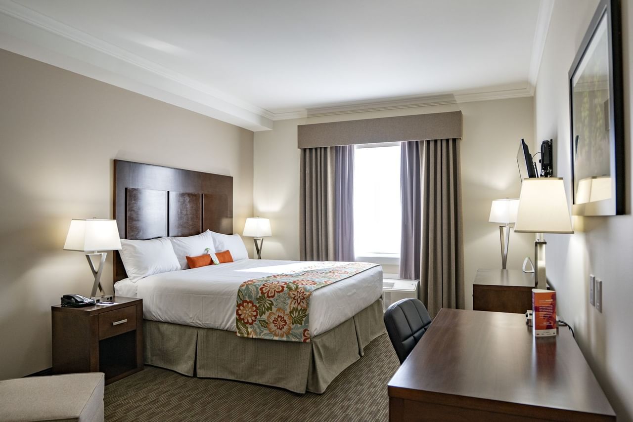 Coast Oliver Hotel - Superior King(2)