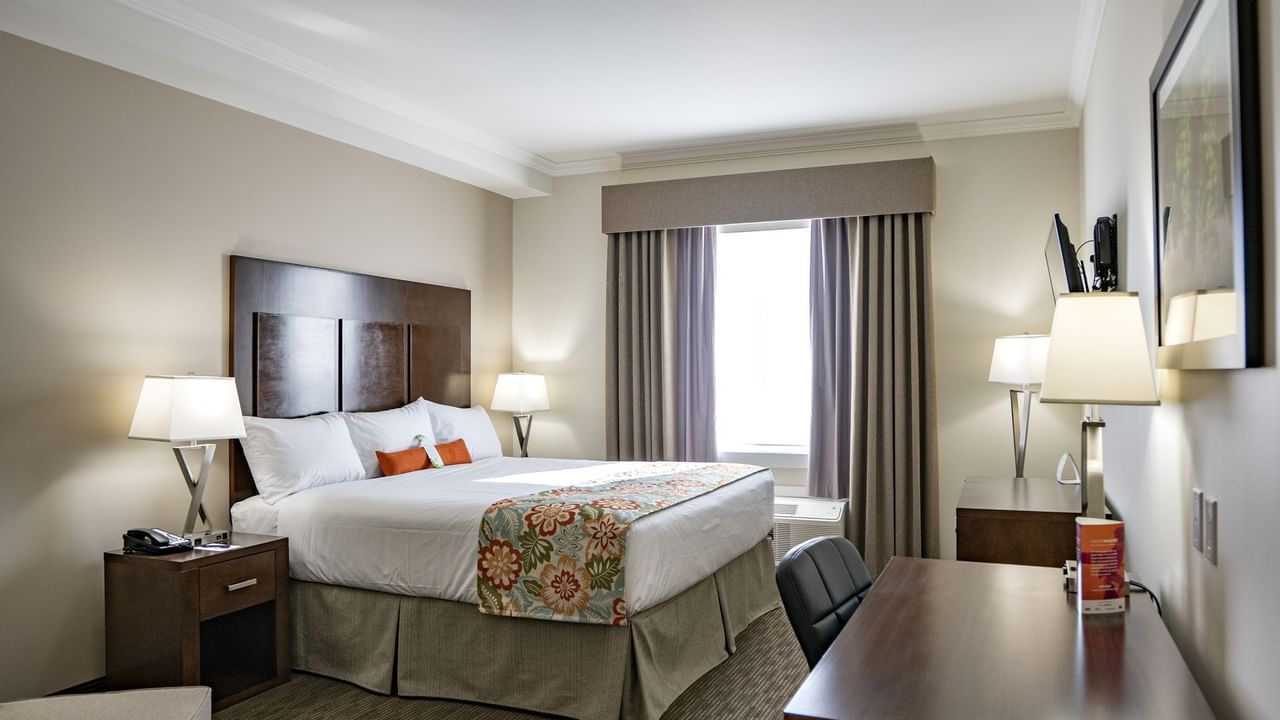 Bed in hotel room