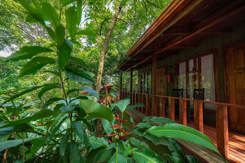 Cabin balcony with jungle area at Jaguarundi Lodge