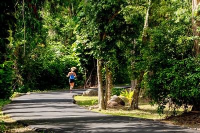Running in Rockefeller Nature Trail