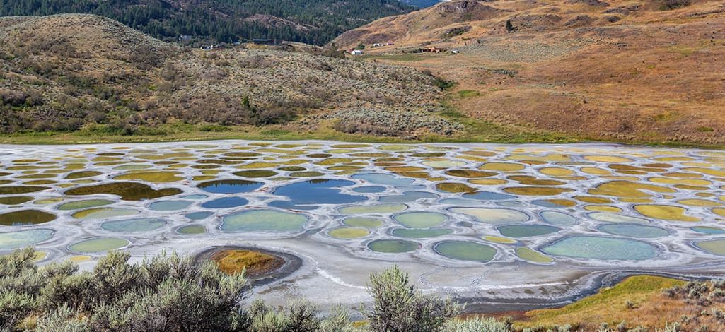 Spotted Lake in Osoyoos, BC