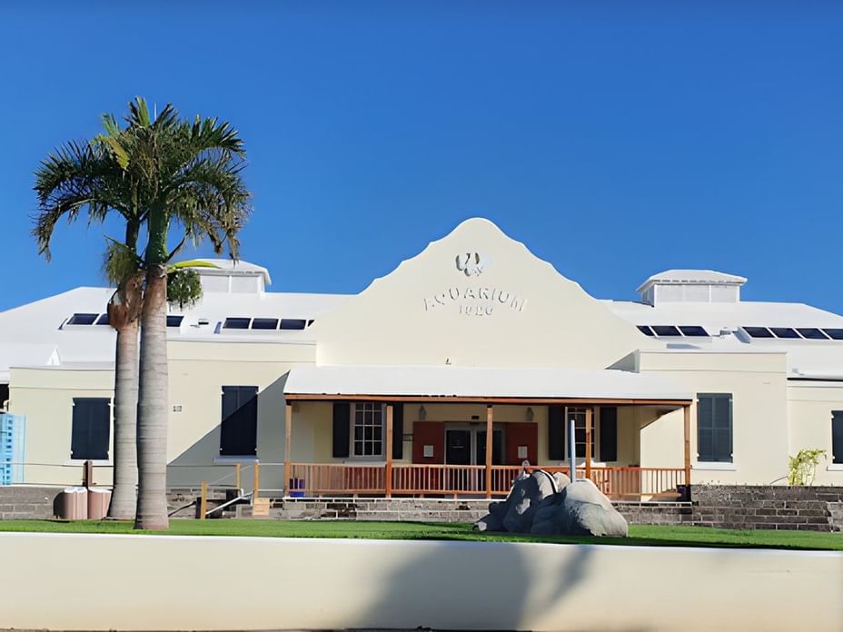 Bermuda Aquarium, Museum & Zoo St Club