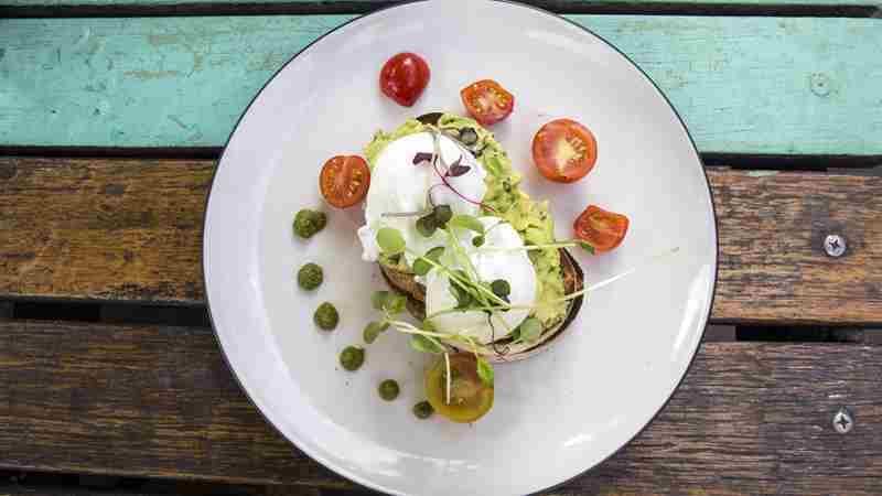 Best Smashed Avocado