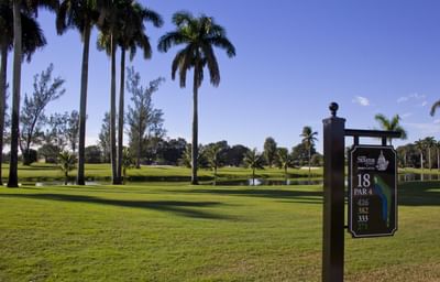 golf