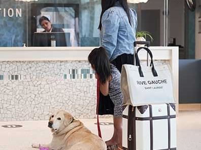 Moher, daughter and dog checking into Coast Langley Hotel