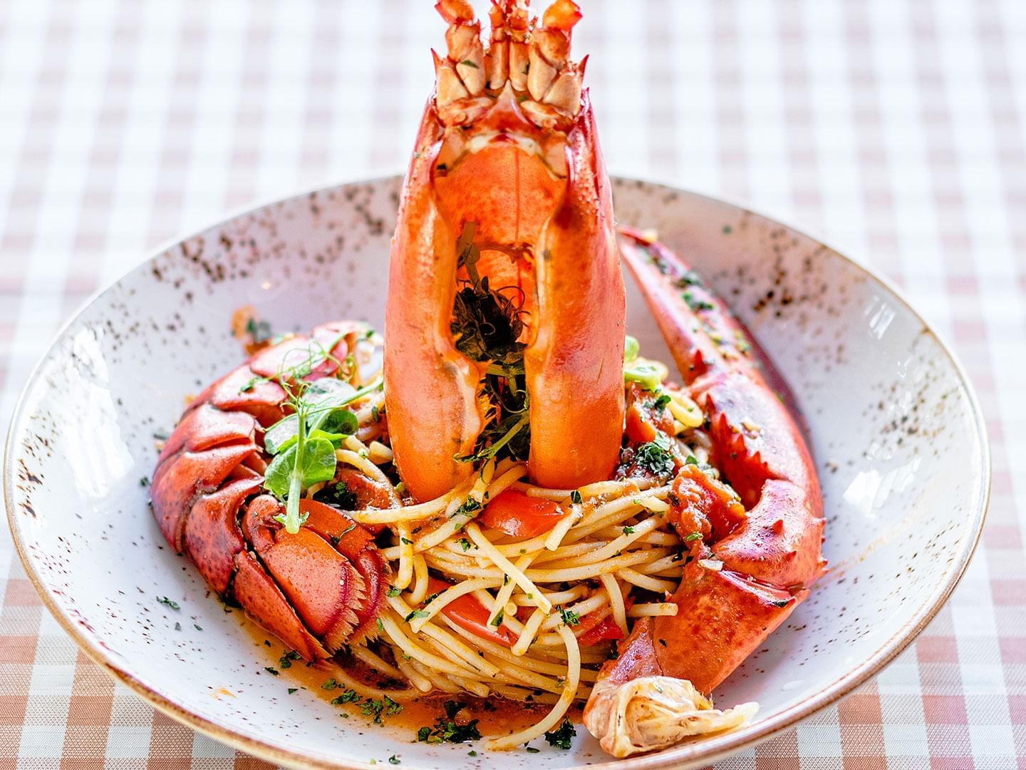 Closeup of a lobster spaghetti dish served at DOT Hotels