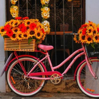 Bicicleta rosada con girasoles en el Festival de las Flores cerca de Porta Hotel Antigua