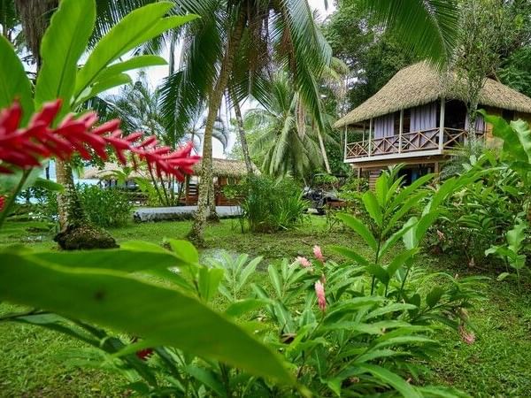 Tropical room with thatched-roof house, lush greenery, and red flowers in the foreground.