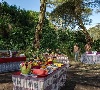 Outdoor buffet in The Crater Breakfast at Ngorongoro Serena