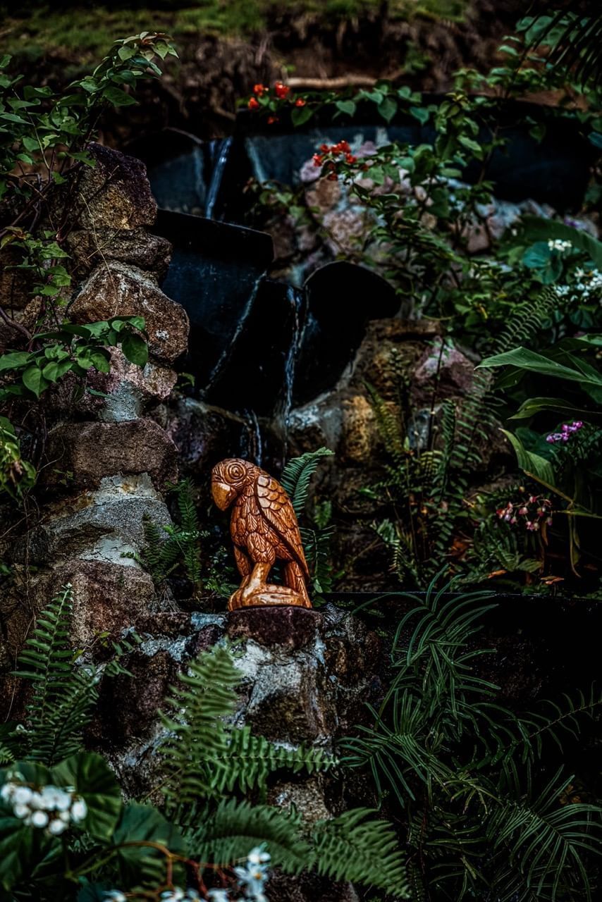 Wooden carved Parrot statue stands on a rainforest near Ladera Resort