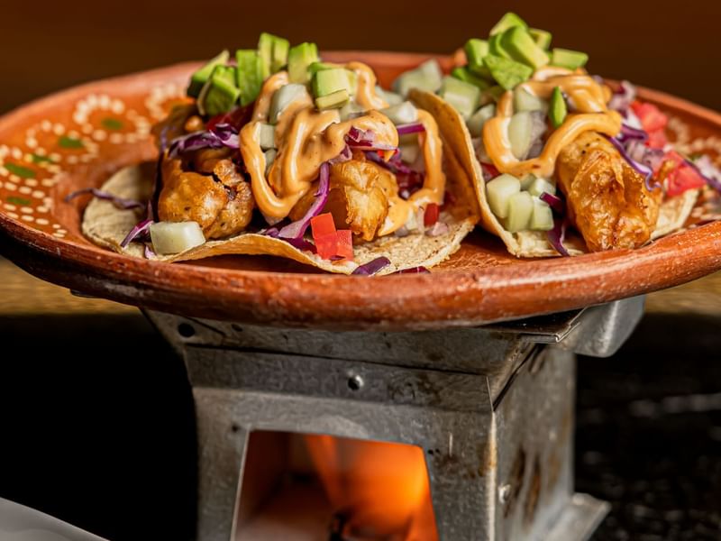 Two tacos topped with avocado, shredded cabbage, and creamy sauce on a plate at Los Canarios, Fiesta Americana Travelty