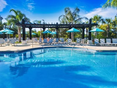 Empty pool with lounge chairs and umbrellas at Vista Cay Resort By Millenium