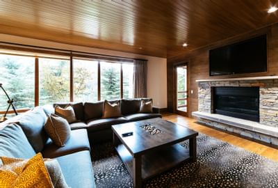 Couche & a fireplace in a living area of a suite at Stein Lodge
