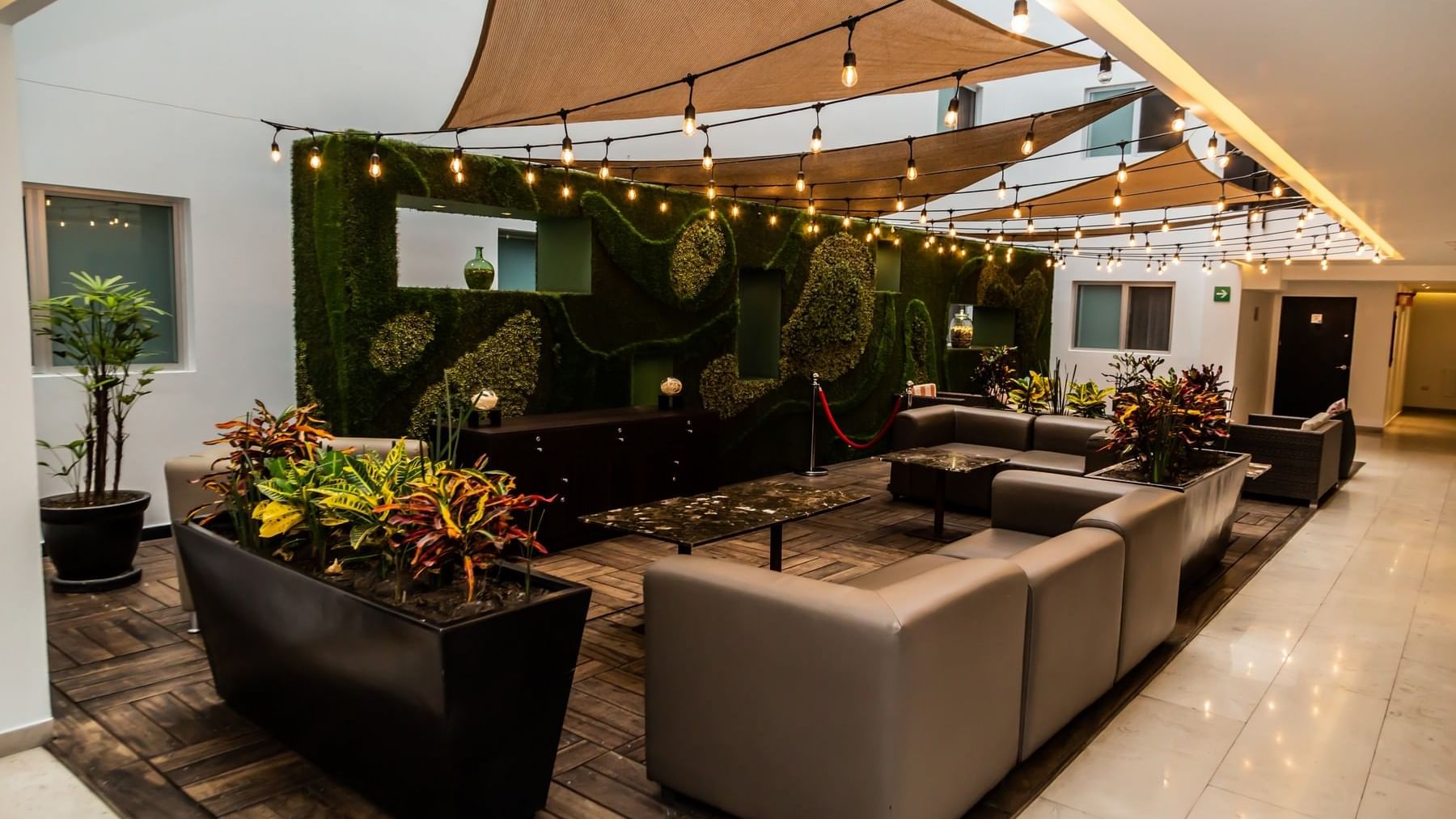 Lounge area with comfy sofas, indoor plants, coffee table & string lights at Gamma Hotels