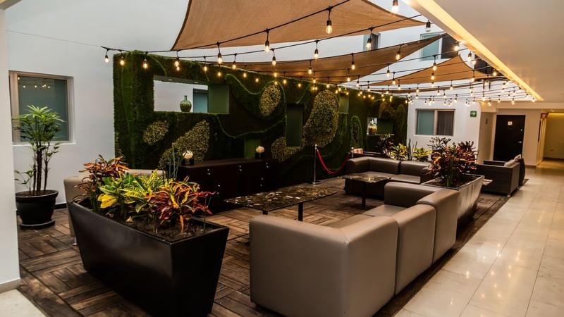 Lounge area with comfy sofas, indoor plants, coffee table & string lights at Gamma Hotels