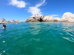 Experiencia de snorkel en Isla San Jorge cerca de Peñasco del Hotel