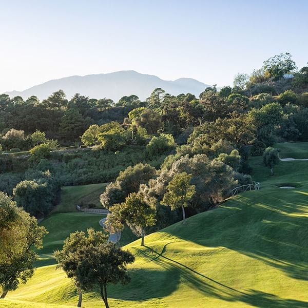 High angle shot of the Golf ground near Marbella Club Hotel