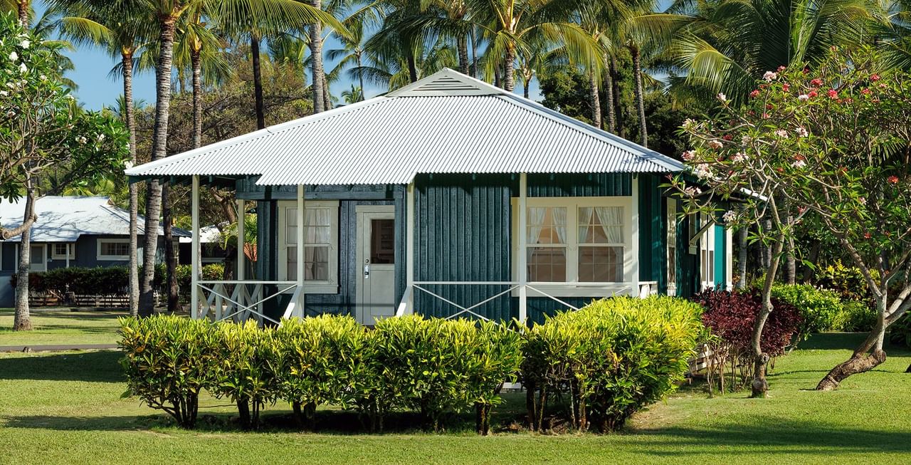 Blue cottage surrounded by lush greenery and palm trees