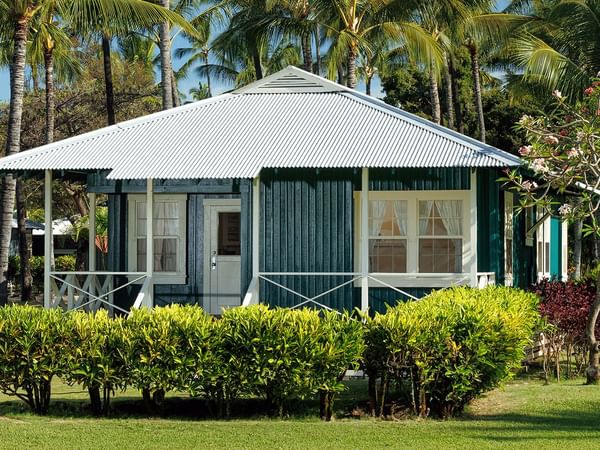 Blue cottage surrounded by lush greenery and palm trees