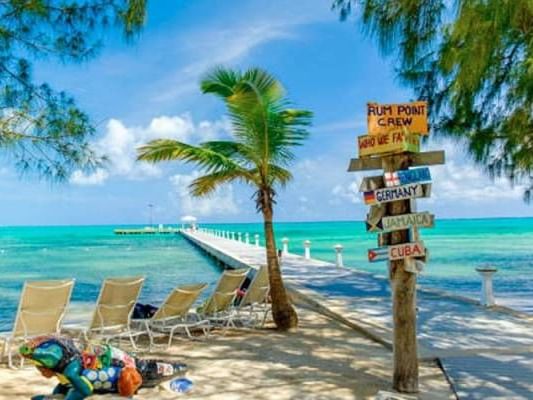 Colorful signpost, palm trees, & lounge chairs by a pier at Rum Point near The Residences at Seafire.