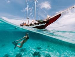 Illustration of Aruba sailing & snorkeling cruise near Passions on the Beach