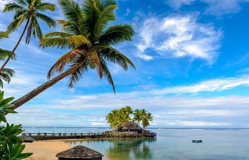 Landscape view of coconut trees by the sea near Warwick Hotels and Resorts