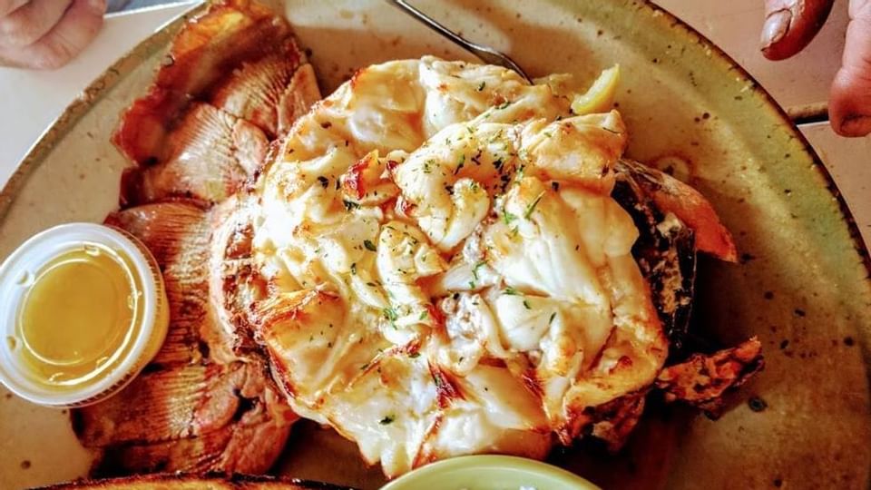 Oyster dish of PJ's Oyster Bar near Legacy Vacation Resorts