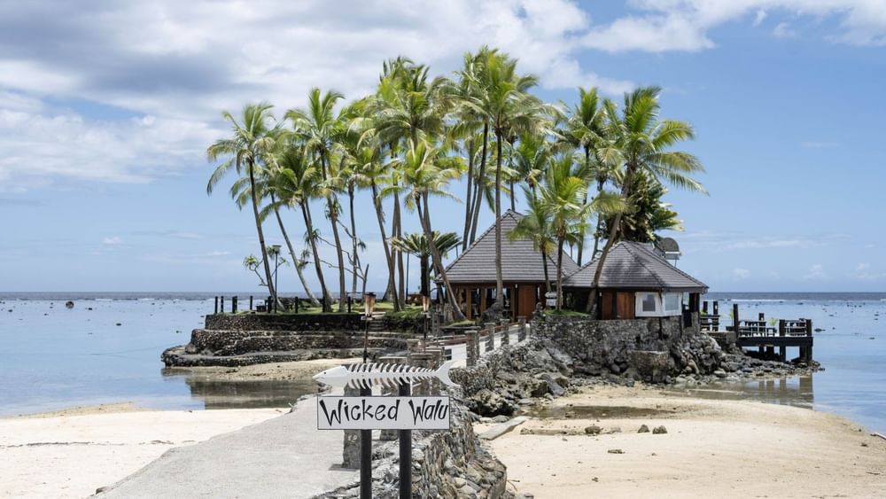 Exterior view of Wicked Walu with a stone path under tall palm trees at Warwick Fiji Resort and Spa