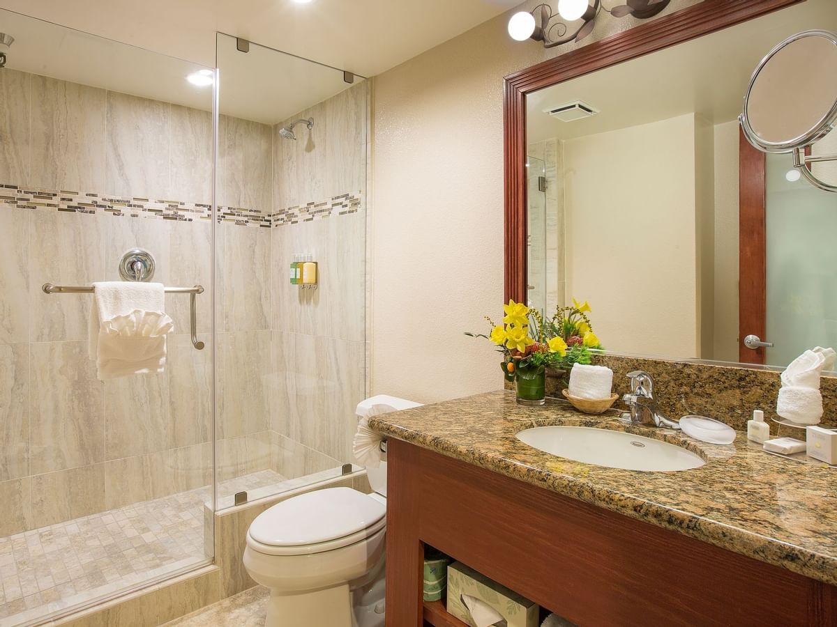 Sink, toilet and shower in modern bathroom