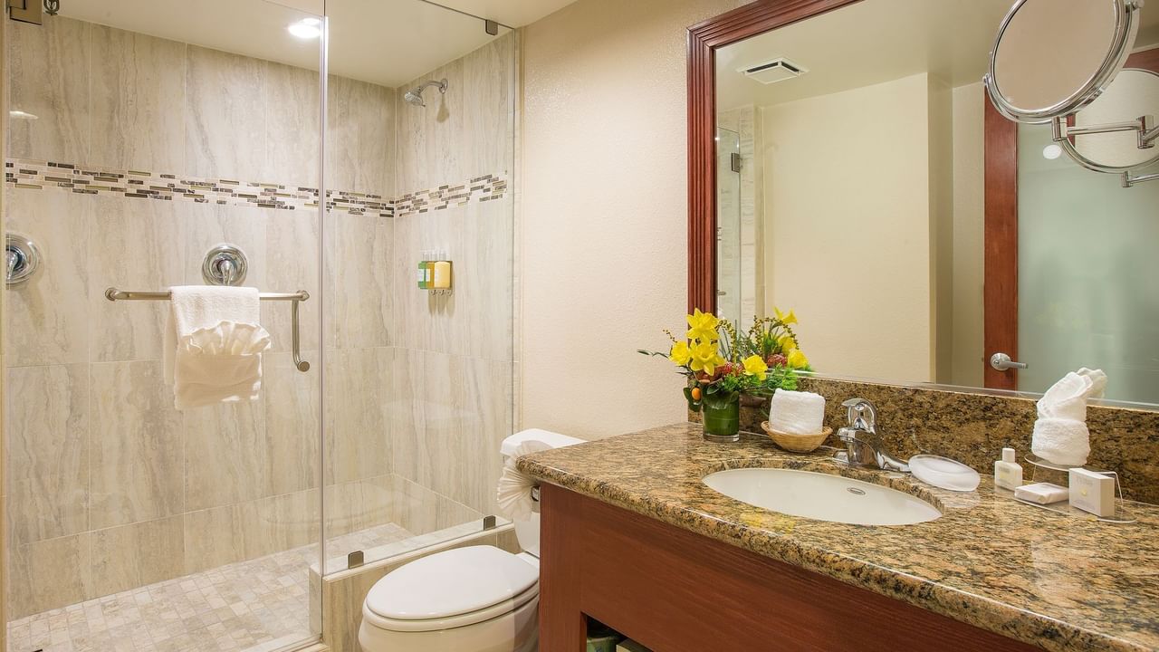 Sink, toilet and shower in modern bathroom