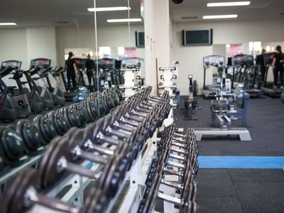 College Square on Lygon_Fully equipped gymnasium with two-tier weights rack
