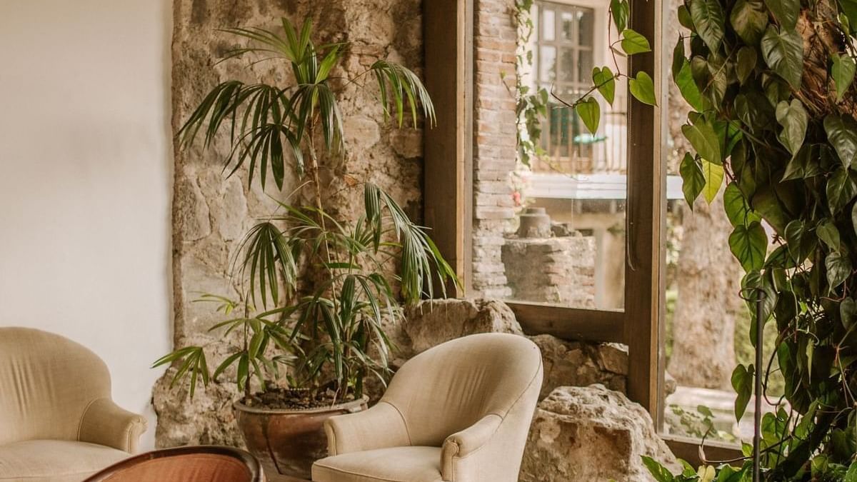 Acogedor salón en Casa Santo Domingo con cómodos sillones y plantas tropicales, mostrando una estética natural