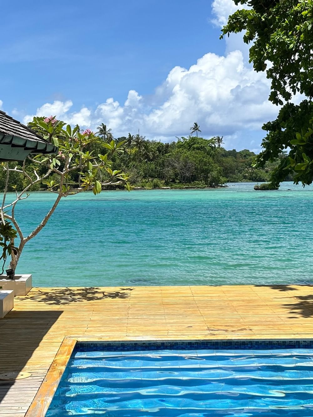 Wooden deck with private pool overlooking the ocean at Warwick Le Lagon - Vanuatu in Efate.