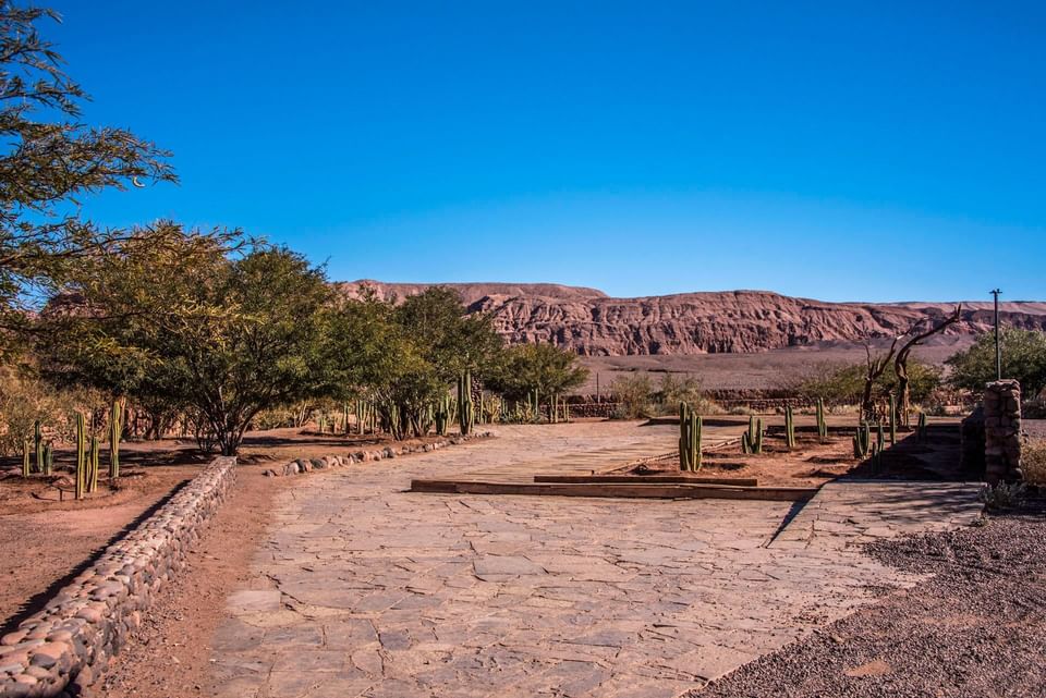 Excursions from Hotel Cumbres San Pedro de Atacama in Chile