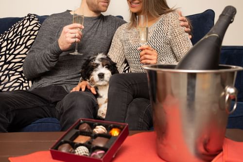 Couple enjoying wine with their puppy in a room at Blackcomb Springs Suites
