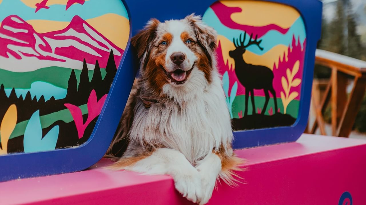 A smiling dog sits on a pink bench with colorful mountain and deer designs.