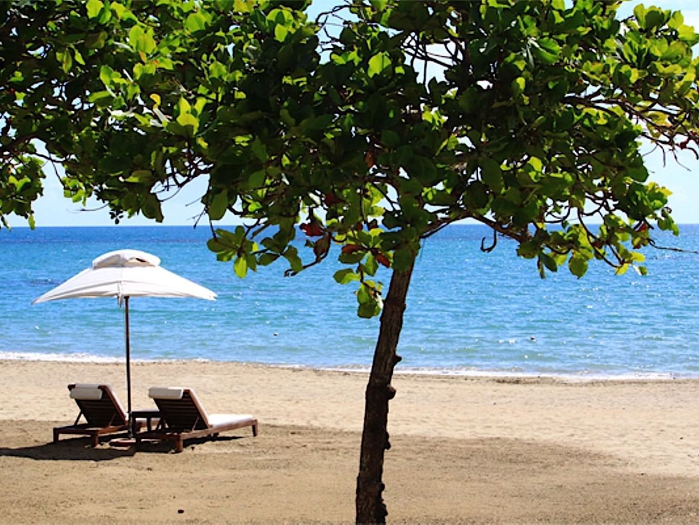 An Umbrella & sun beds by the beach Casa Colonial Beach & Spa