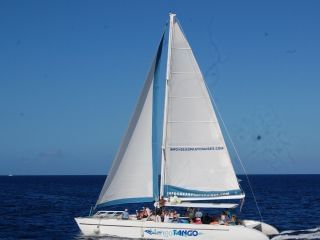 sailing