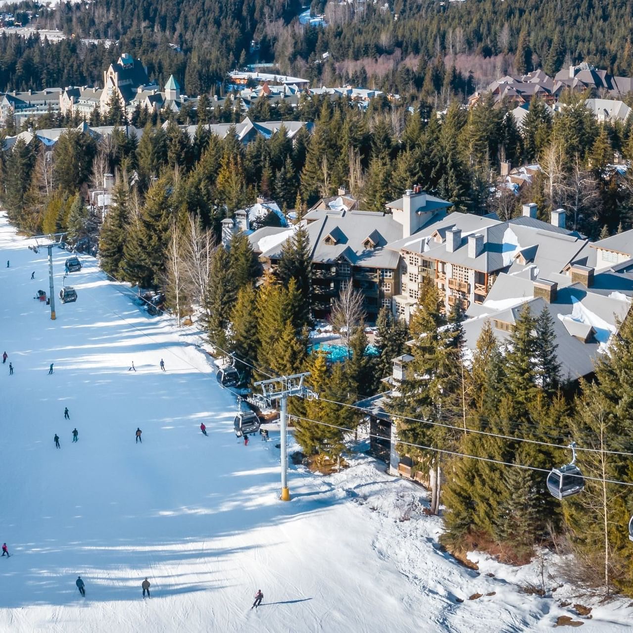 Aerial view of Blackcomb Springs Suites & snow slope with tall trees