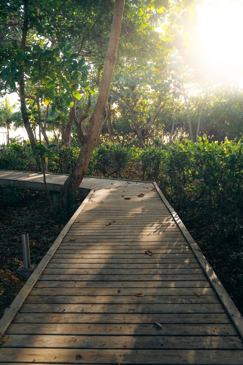 Un camino de madera a la playa en Indura Resort