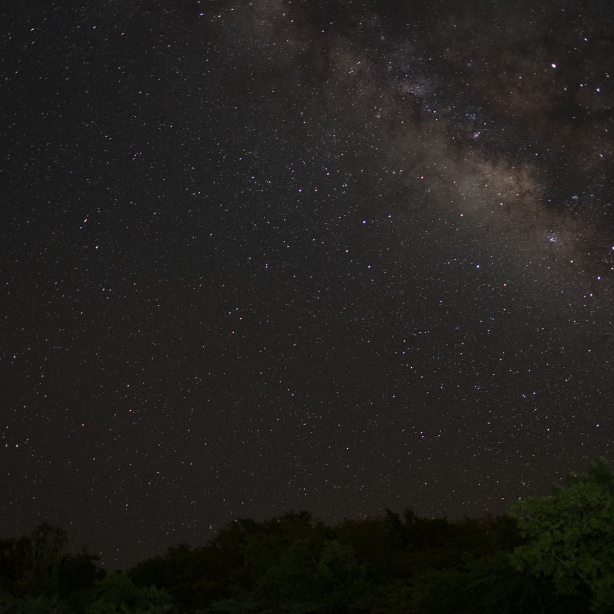 Night sky with bright stars
